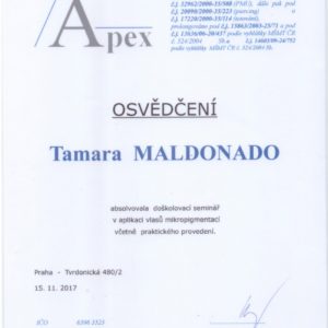 Mikropigmentace certifikát